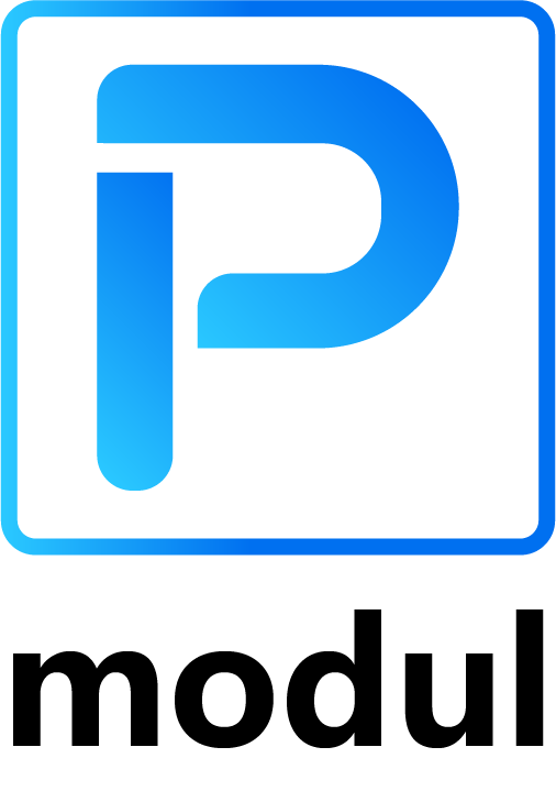 P-modul